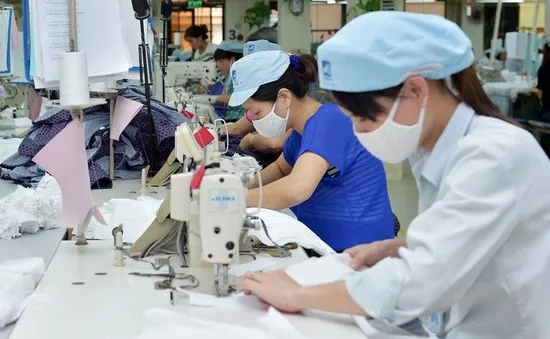 Doanh nghiệp đẩy nhanh xuất khẩu trước ngày Mỹ áp thuế