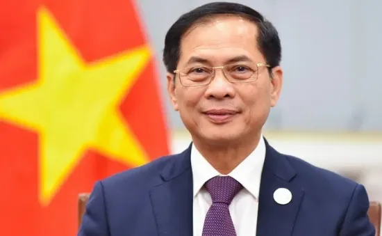 Làm sâu sắc và thực chất hơn nữa quan hệ Đối tác chiến lược Việt Nam - Đức
