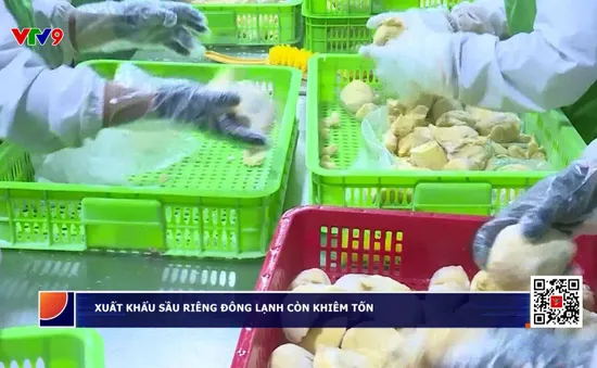 Lô sầu riêng đông lạnh đầu tiên được xuất khẩu