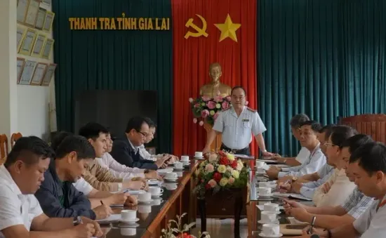 Thanh tra toàn diện Công ty TNHH Một thành viên cà phê Gia Lai