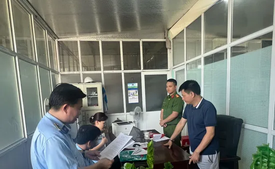 Nam Định: Tạm giữ nhiều tấn vải may mặc, hàng chục nghìn vỏ gối không rõ nguồn gốc