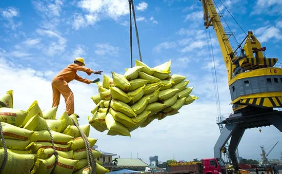 Xuất khẩu gạo đối diện với rủi ro kép