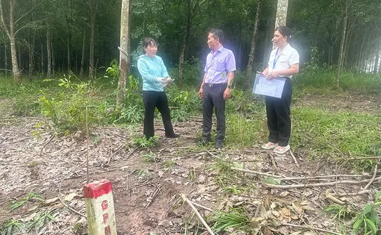 Nhiều hộ dân giao mặt bằng làm cao tốc mà chưa cần nhận đền bù
