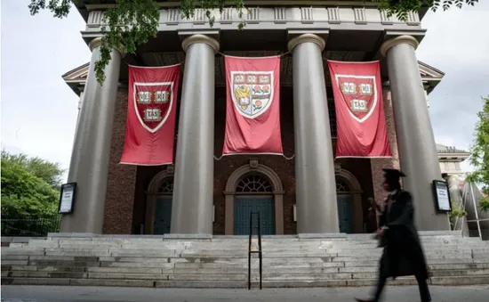 Nhật Bản hỗ trợ sinh viên quốc tế bị Đại học Harvard từ chối