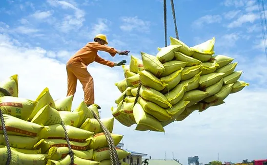 5 tháng đầu năm, giá gạo xuất khẩu giảm gần 19%