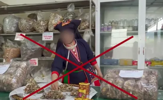 Lương y chân chính vất vả xin cấp phép giữa “bão” quảng cáo thuốc đông y giả