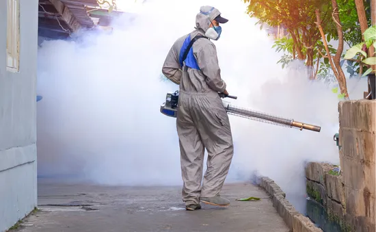 Cảnh giác với nguy cơ sốt xuất huyết tại những khu vực công cộng