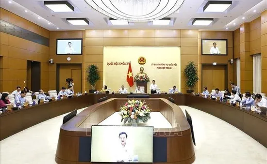 Hoàn thiện dự thảo Luật sửa đổi, bổ sung một số điều của Bộ luật Hình sự