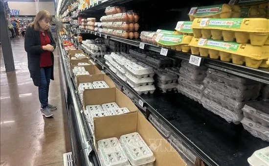 Mỹ thu hồi hơn 20 triệu quả trứng do nhiễm khuẩn salmonella