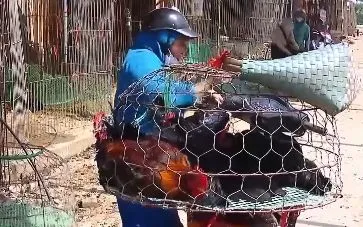 Gà tăng giá kỷ lục, chợ vẫn vắng bóng người bán