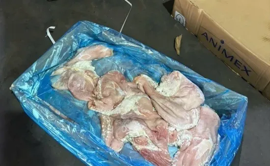 Gần 70 tấn nội tạng, thịt không rõ nguồn gốc trong kho lạnh ở TP Hồ Chí Minh