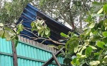 Dông lốc làm tốc mái 7 căn nhà ở Bạc Liêu, thiệt hại khoảng 300 triệu đồng