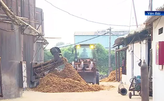Nhiều nhà máy giấy nguy cơ gây ô nhiễm môi trường tại Yên Bái