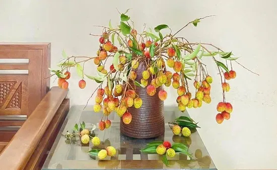 Độc đáo trào lưu cắm cành vải thành hoa