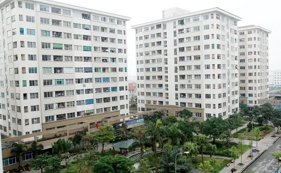 An cư không còn là ước mơ xa với người thu nhập thấp