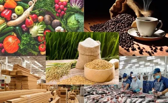 Thị trường nông sản chìm trong “sắc đỏ”: Xuất khẩu Việt Nam chịu áp lực