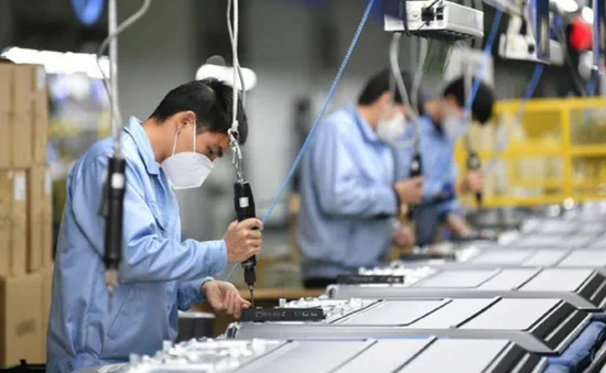 Công chức, viên chức không được thành lập, góp vốn và quản lý doanh nghiệp