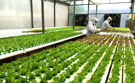 Bổ sung chính sách tín dụng phục vụ phát triển nông nghiệp, nông thôn
