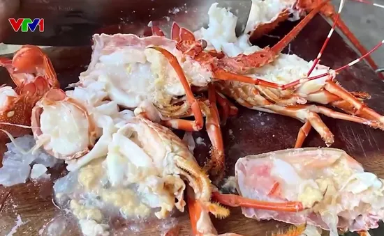 Nỗi lo tôm hùm chết bị bơm tạp chất để bán ra thị trường