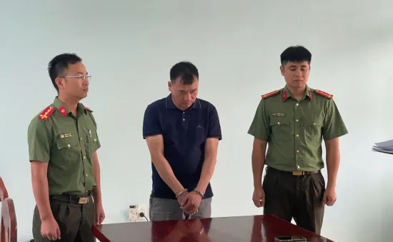 Đào trộm 800.000 m³ đất, Giám đốc doanh nghiệp ở Bắc Giang bị khởi tố