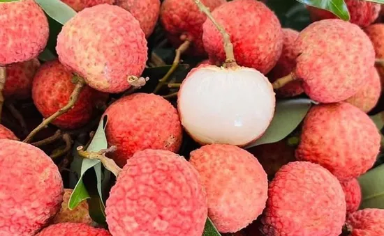 Vải thiều Việt Nam lên kệ siêu thị Đức