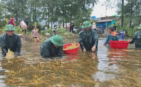 Quảng Trị: Dành 320 tỷ đồng khắc phục hậu quả mưa lũ do bão số 1