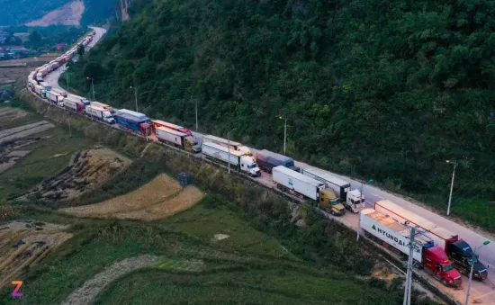 Xuất khẩu sang Trung Quốc giảm mạnh: Lối đi nào cho rau quả Việt?