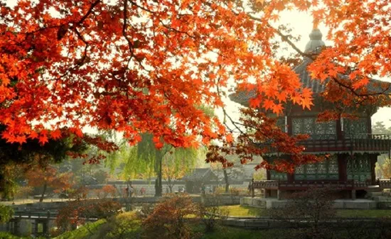 Đắm chìm trong những địa danh "siêu" lãng mạn tại Seoul