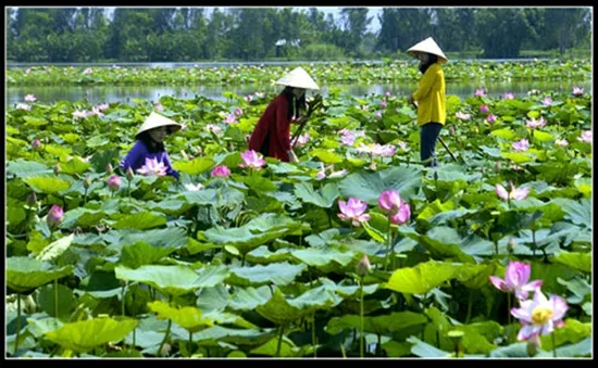 Trải nghiệm du lịch thú vị và tiết kiệm cùng TST tourist