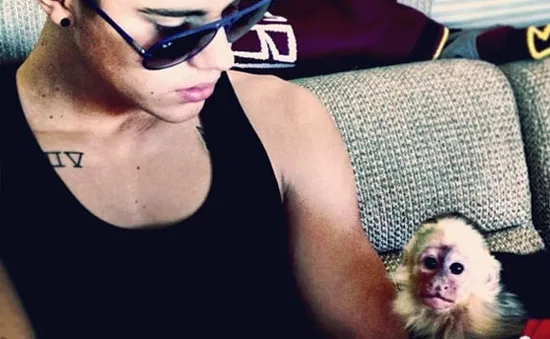 Justin Bieber trì hoãn chuyến bay vì... khỉ