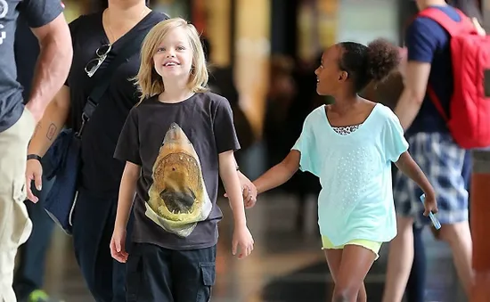 Jolie-Pitt xây dựng công viên riêng cho con gái