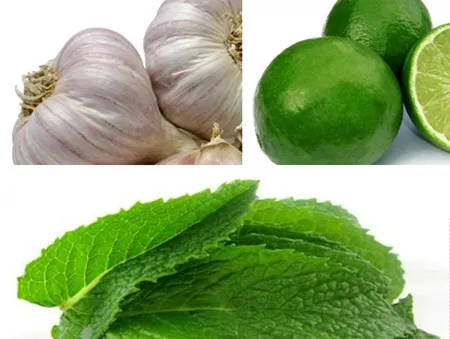 Những bài thuốc đơn giản chữa viêm họng