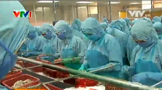 Mỹ áp thuế chống bán phá giá với tôm VN trên 6%