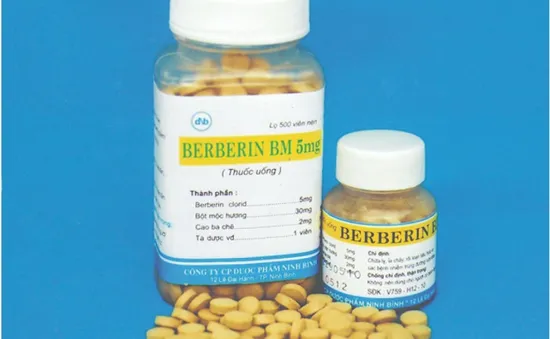 Thai phụ không được dùng berberin, vì sao?