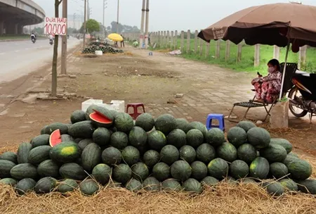 Ùn tắc ở Tân Thanh, dưa hấu giá rẻ tràn về Hà Nội