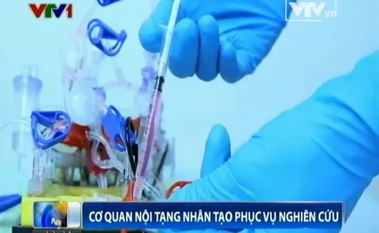 Xây dựng nội tạng nhân tạo để thử nghiệm thuốc