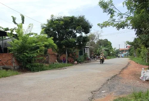 TP.HCM: Nạn trộm chó ngày càng manh động