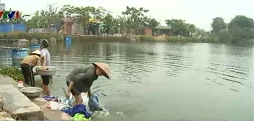Hà Nội: Cả làng sống bằng nước… ao tù