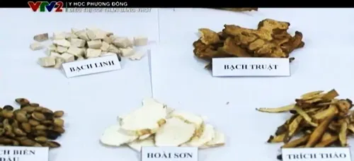 Bài thuốc chữa suy dinh dưỡng ở trẻ