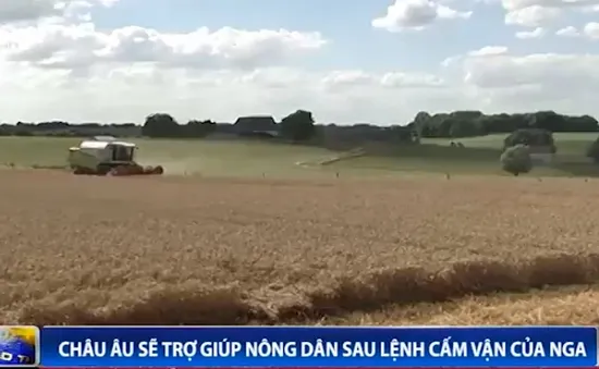Châu Âu sẽ trợ giúp nông dân sau lệnh cấm vận của Nga