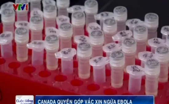 Canada quyên góp vaccine ngừa Ebola thử nghiệm cho WHO