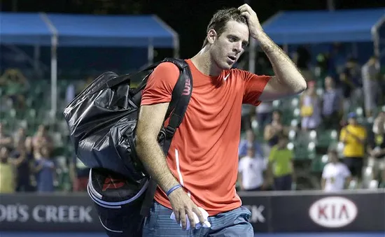 Juan Martin del Potro tiếp tục từ chối Davis Cup