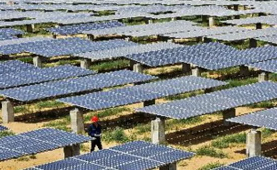 EC áp thuế chống bán phá giá với pin mặt trời Trung Quốc