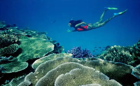 Máy bay Mỹ thả bom không kíp nổ xuống biển Australia