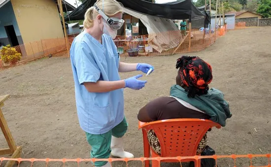 WHO xác nhận hơn 930 trường hợp tử vong do dịch Ebola 