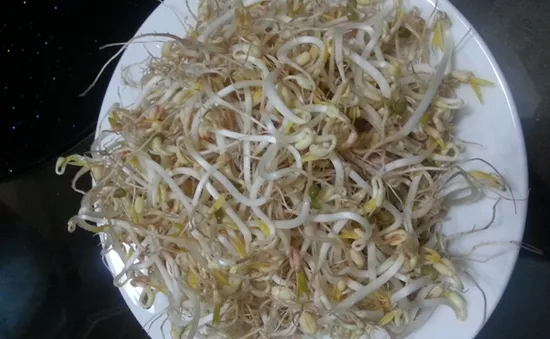 Tận dụng vỏ hộp sữa tươi để làm giá đỗ