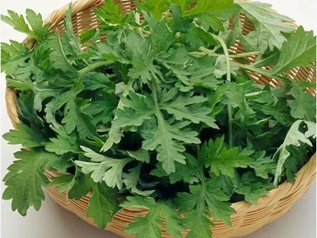 6 Công dụng chữa bệnh của ngải cứu 