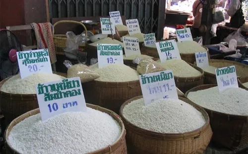 Thái Lan hoãn đấu thầu 500.000 tấn gạo 