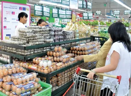 DN chăn nuôi FDI đẩy giá trứng tăng cao từng ngày