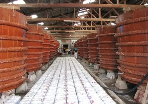Trung Quốc hút nguồn hàng cá cơm